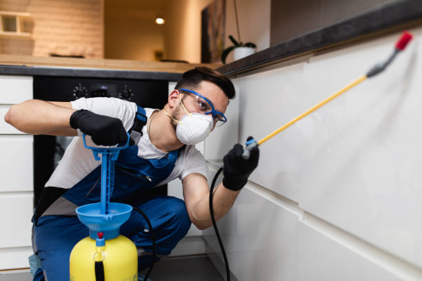 Best Affordable Pest Control Services  in Bayshore, NC