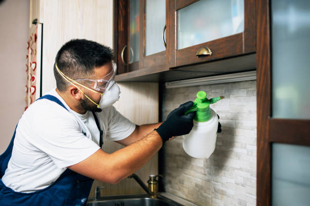 Best Flea Control Services  in Bayshore, NC