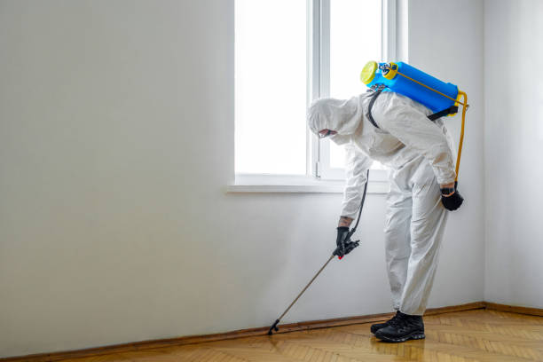 Best Residential Pest Control  in Bayshore, NC