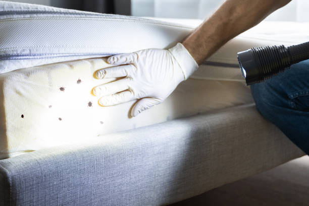 Best Pest Prevention Services  in Bayshore, NC