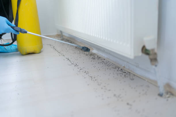 Best Commercial Pest Control Services  in Bayshore, NC