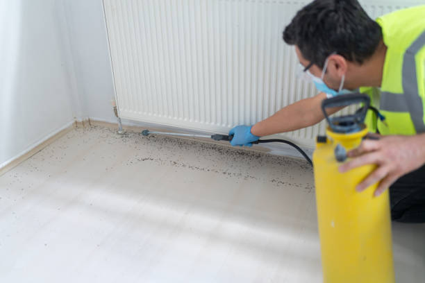 Best Mosquito Control Services  in Bayshore, NC