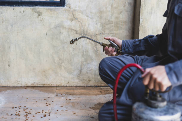 Best Exterminator Services  in Bayshore, NC